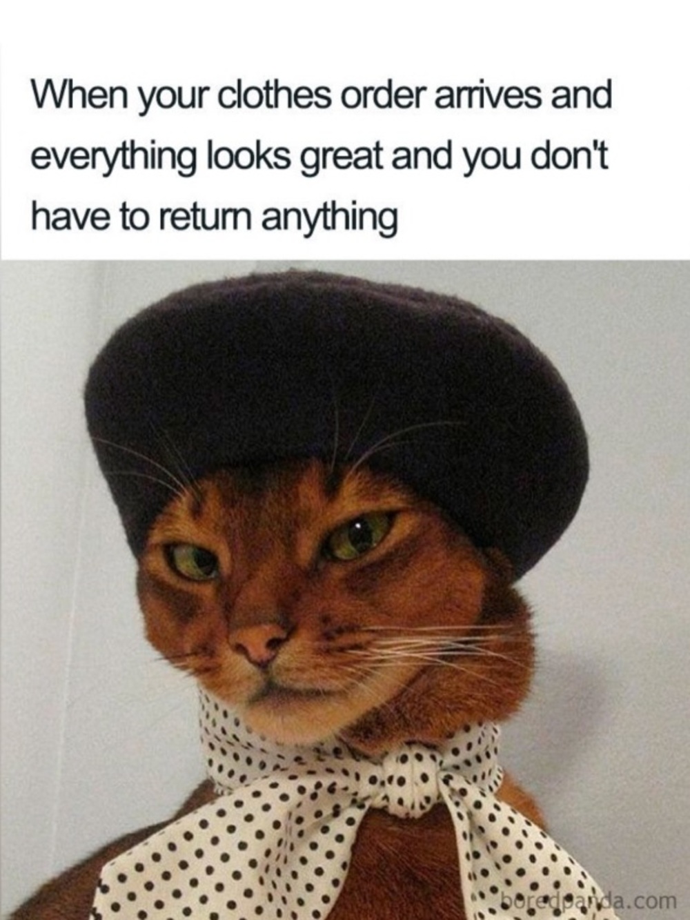 FABULOUS!